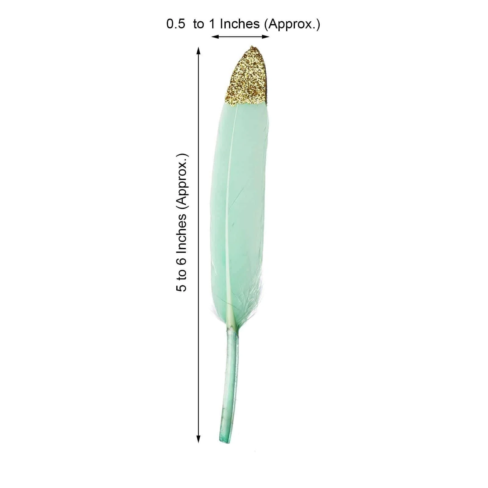 30-Pack Real Turkey Feathers Mint Glitter Gold Tip Design - Craft Feathers for Party Decorations and DIY Crafts - Image 3