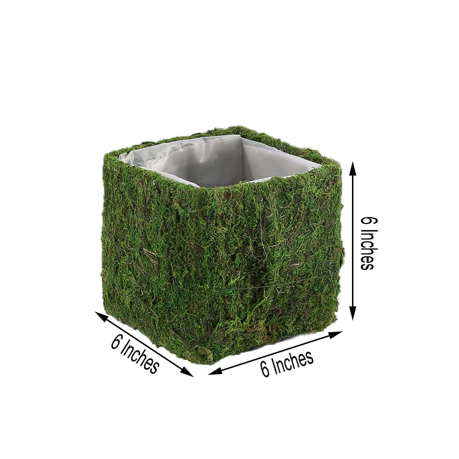 4-Pack Preserved Moss Planter Boxes 6" Square Covered Green with Inner Lining - Decorative Flower Baskets - Image 3