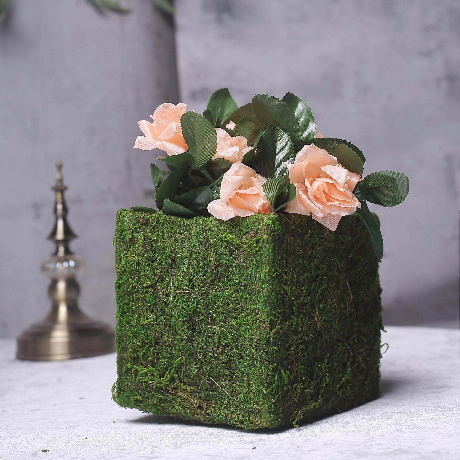 4-Pack Preserved Moss Planter Boxes 6" Square Covered Green with Inner Lining - Decorative Flower Baskets - Image 6