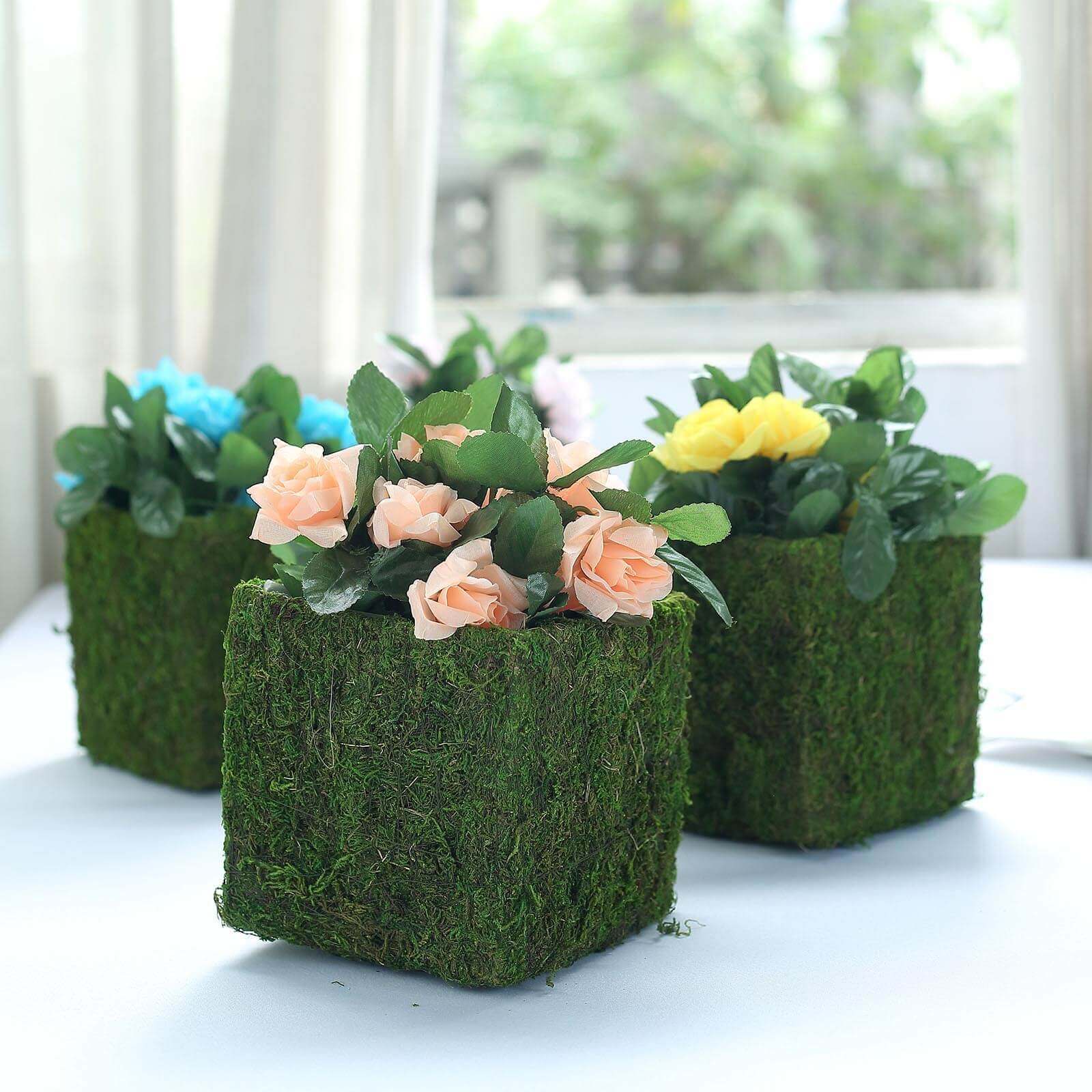 4-Pack Preserved Moss Planter Boxes 6" Square Covered Green with Inner Lining - Decorative Flower Baskets - Image 7