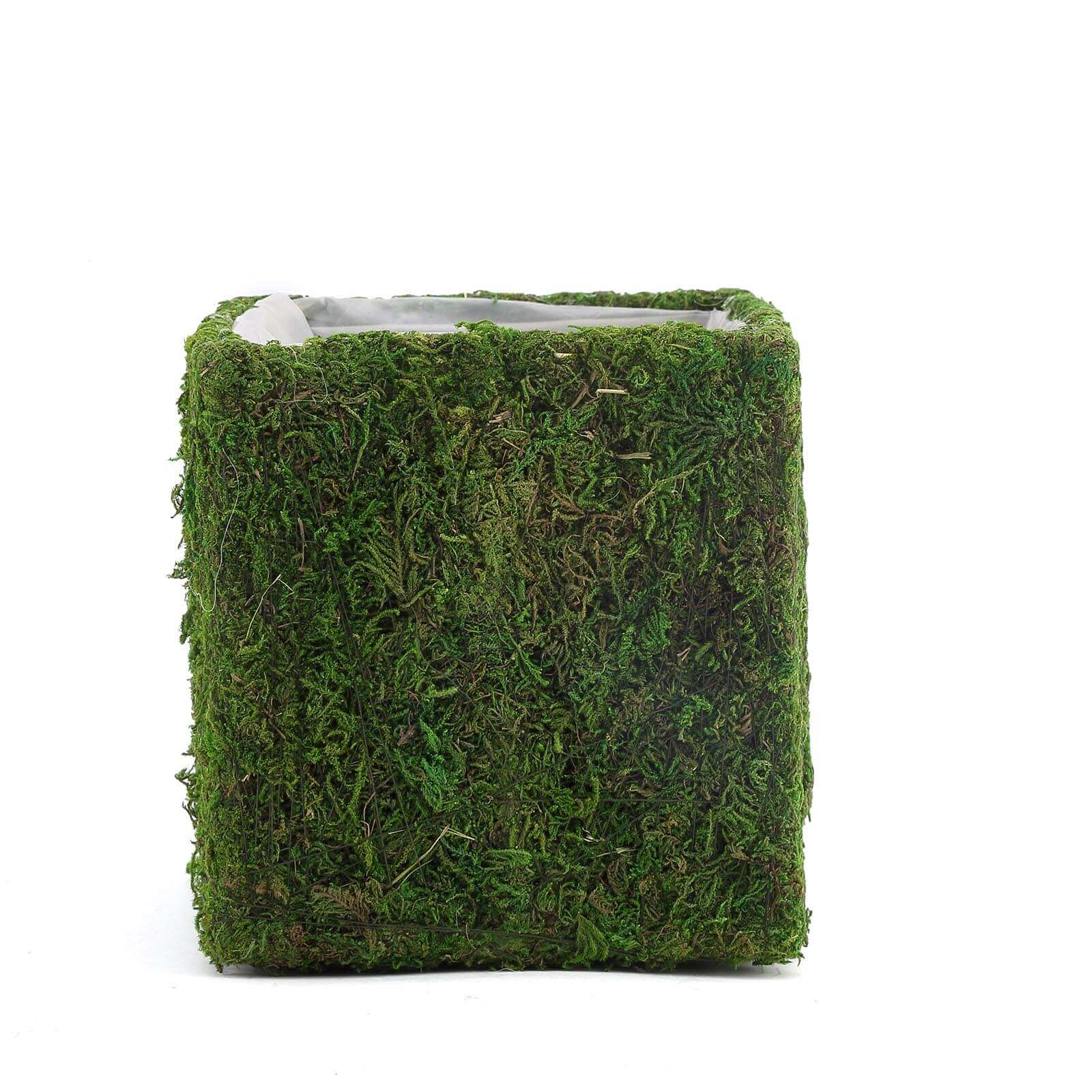 4-Pack Preserved Moss Planter Boxes 6" Square Covered Green with Inner Lining - Decorative Flower Baskets - Image 8