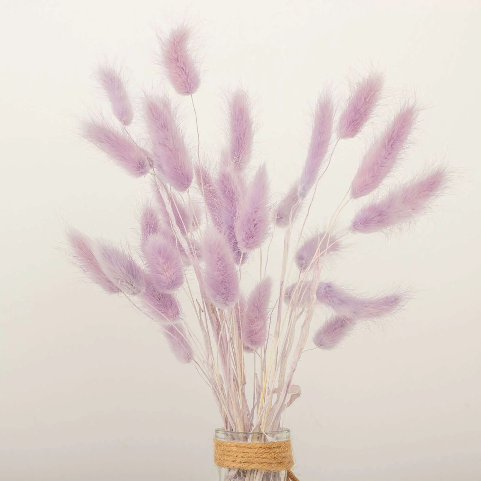 50-Pack Dried Bunny Tail Grass 15" Lavender Lilac - Fluffy Lagurus Ovatus Rabbit Tail Ornamental Grass - Image 5