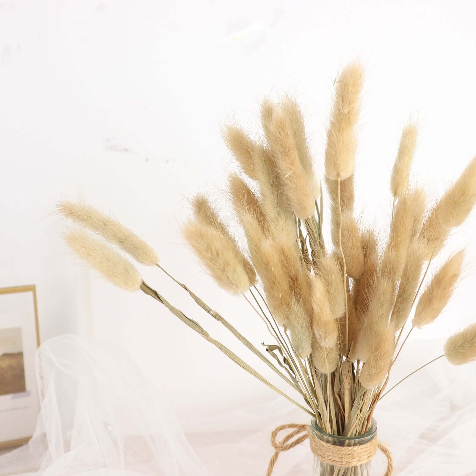 50-Pack Dried Bunny Tail Grass 15" Natural - Fluffy Lagurus Ovatus Rabbit Tail Ornamental Grass