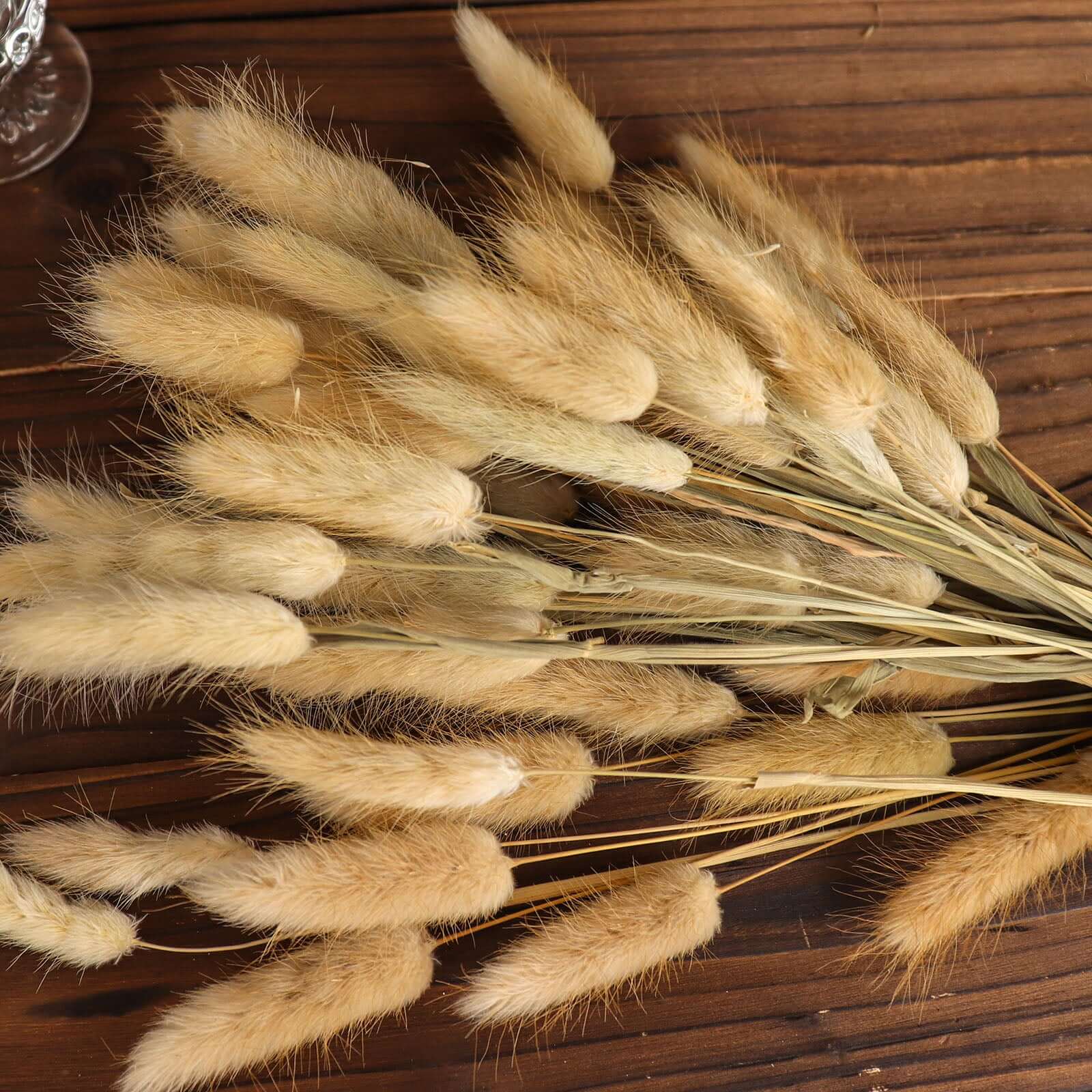 50-Pack Dried Bunny Tail Grass 15" Natural - Fluffy Lagurus Ovatus Rabbit Tail Ornamental Grass - Image 2