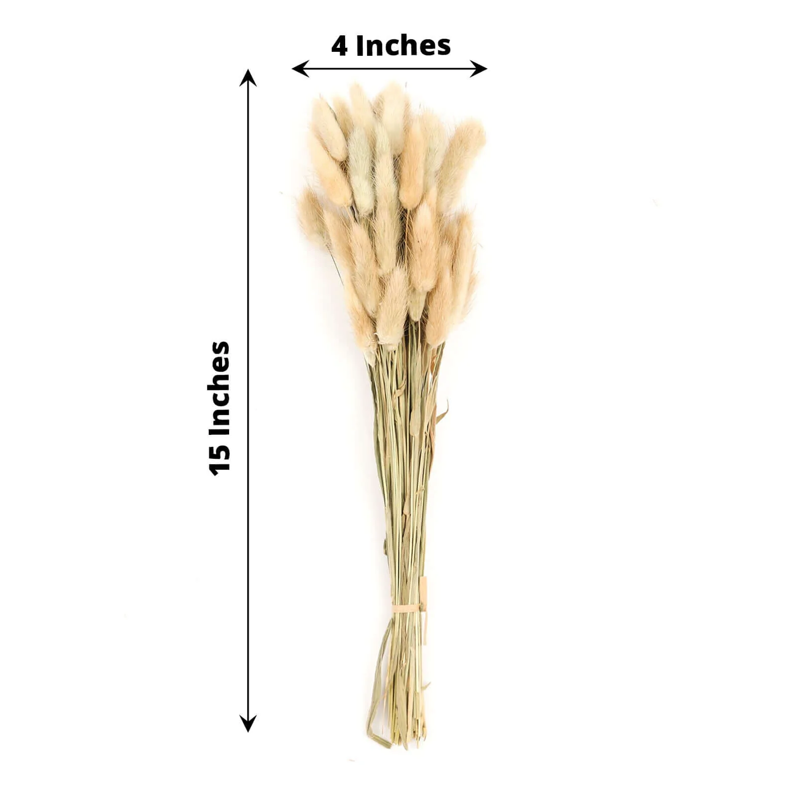 50-Pack Dried Bunny Tail Grass 15" Natural - Fluffy Lagurus Ovatus Rabbit Tail Ornamental Grass - Image 3