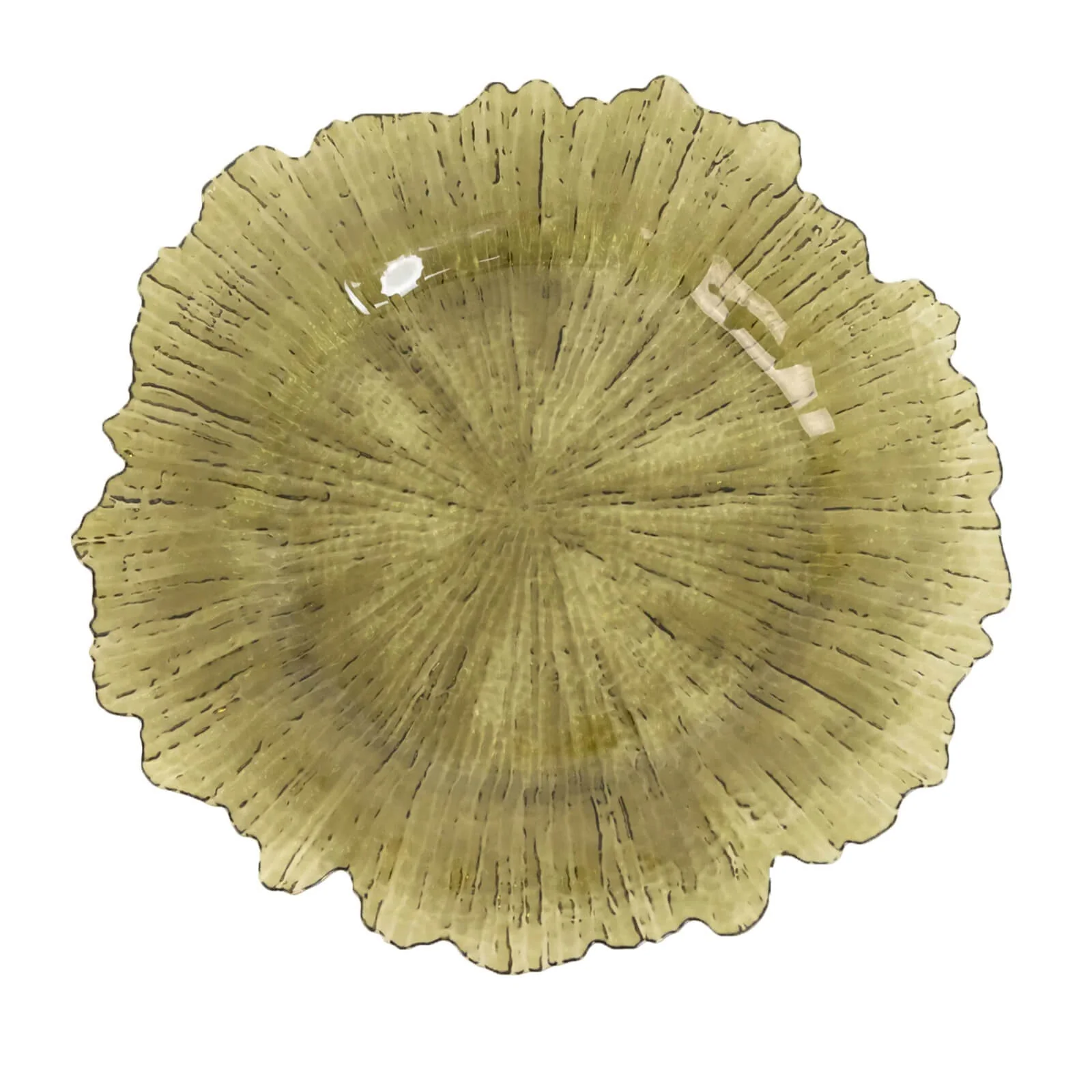 6-Pack Acrylic Plastic Charger Plates 13" Round Transparent Dusty Sage Green Reef Design - Decorative Dinner Charger Tableware - Image 5