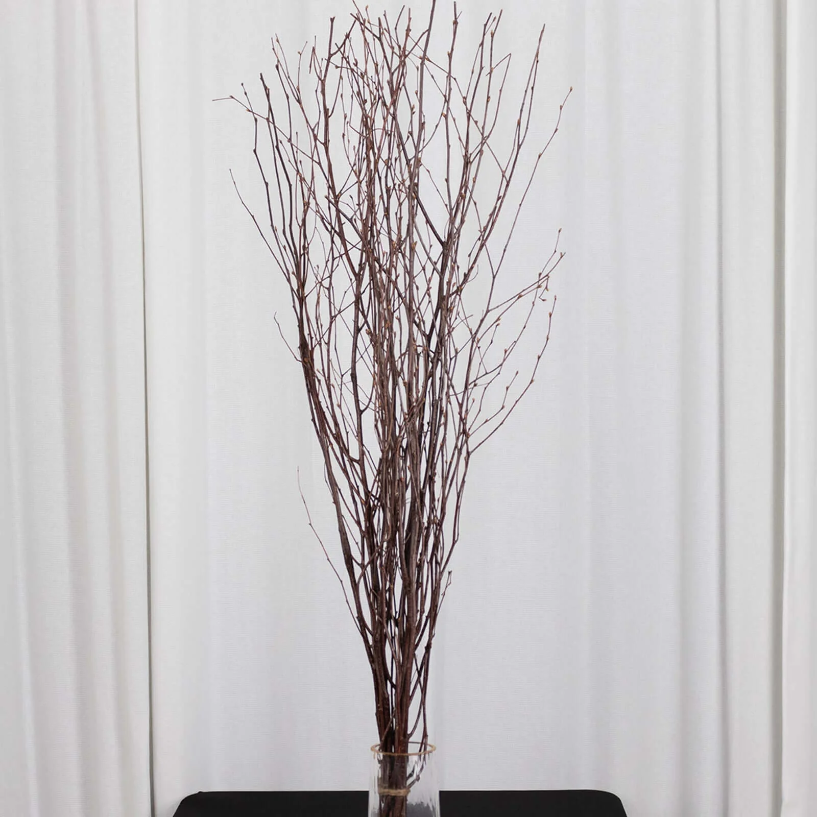 6-Pack Birch Tree Branches 46" Natural - Rustic Dried Willow Twigs Sticks