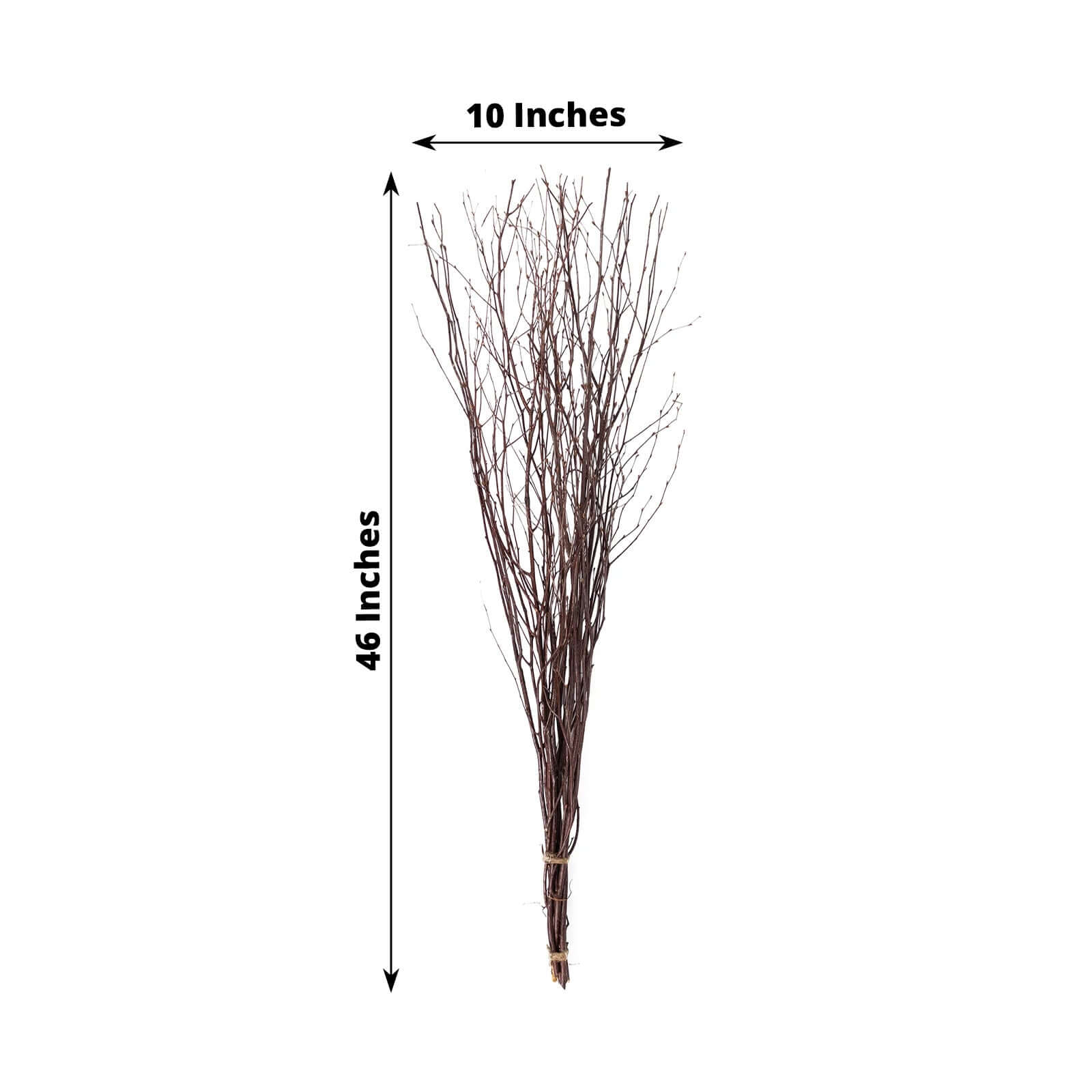 6-Pack Birch Tree Branches 46" Natural - Rustic Dried Willow Twigs Sticks - Image 3
