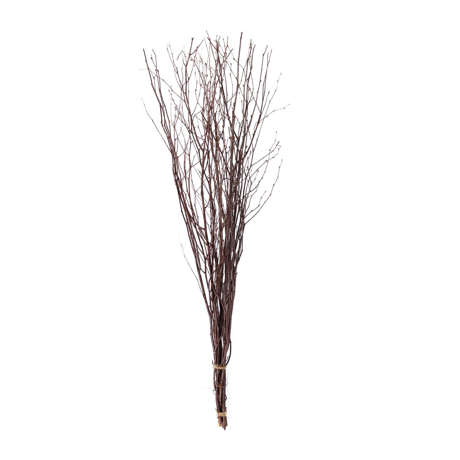 6-Pack Birch Tree Branches 46" Natural - Rustic Dried Willow Twigs Sticks - Image 7