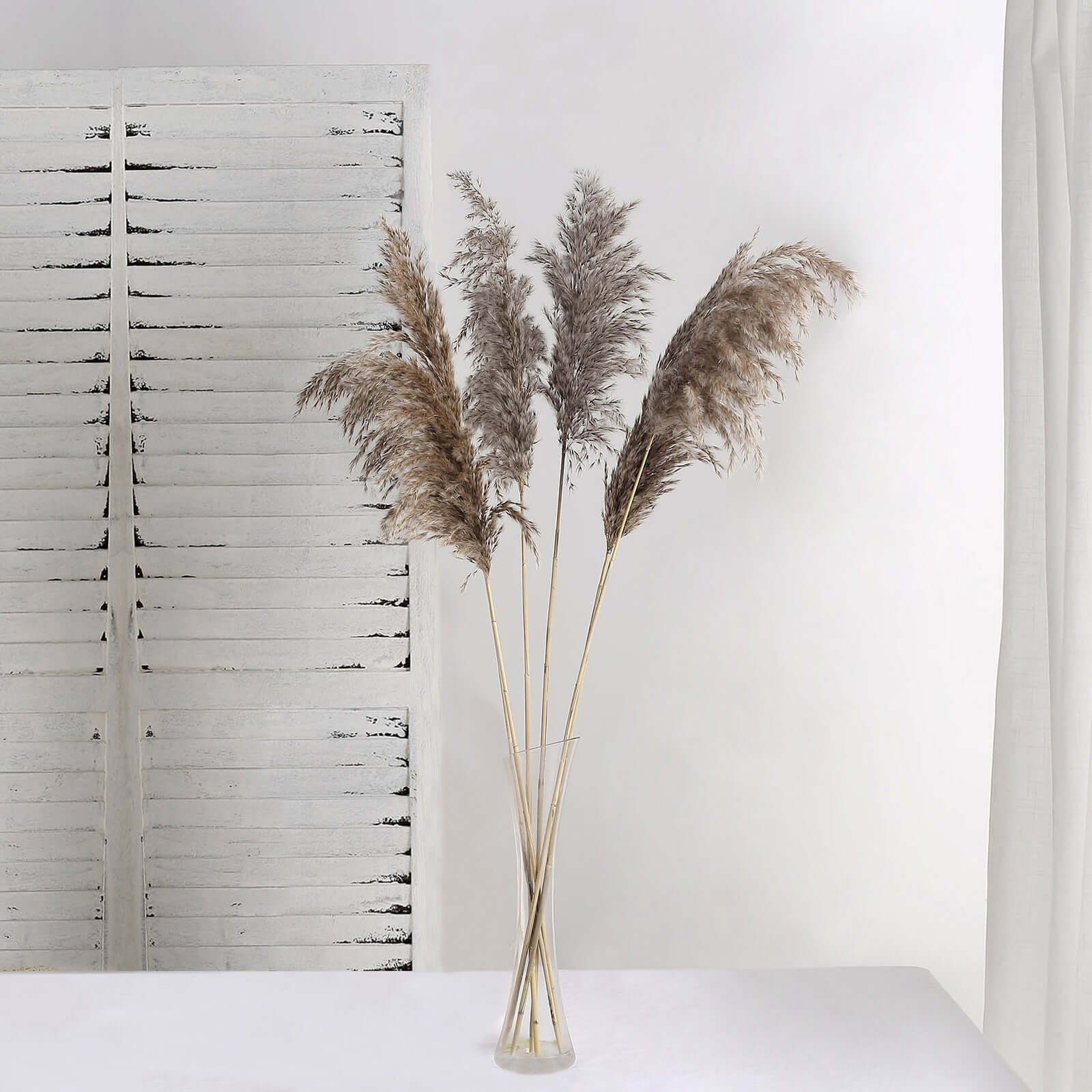 6 Stems Natural Dried Pampas Grass Decor 32" Natural Tint - Fluffy Plant Sprays - Image 10