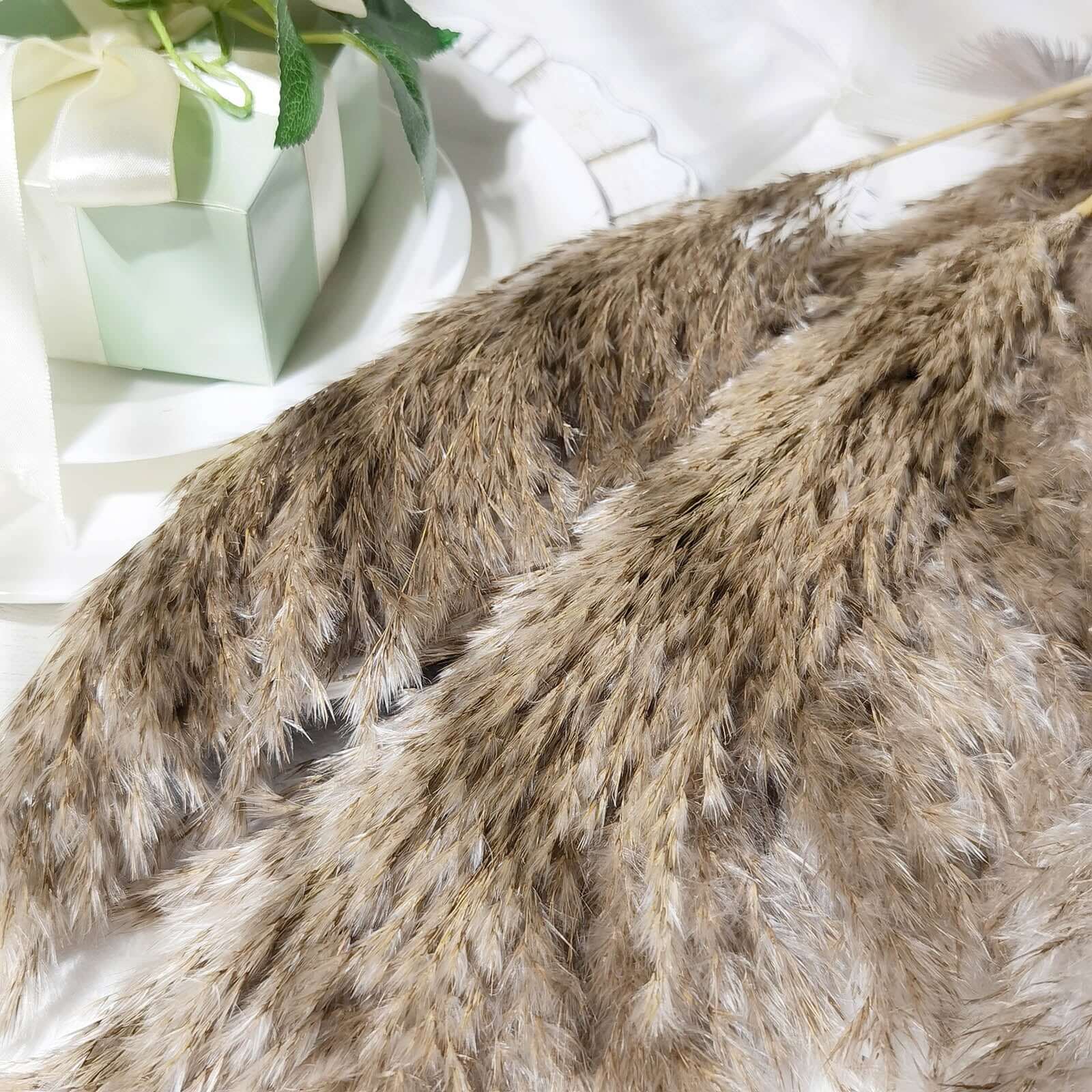6 Stems Natural Dried Pampas Grass Decor 32" Natural Tint - Fluffy Plant Sprays - Image 15