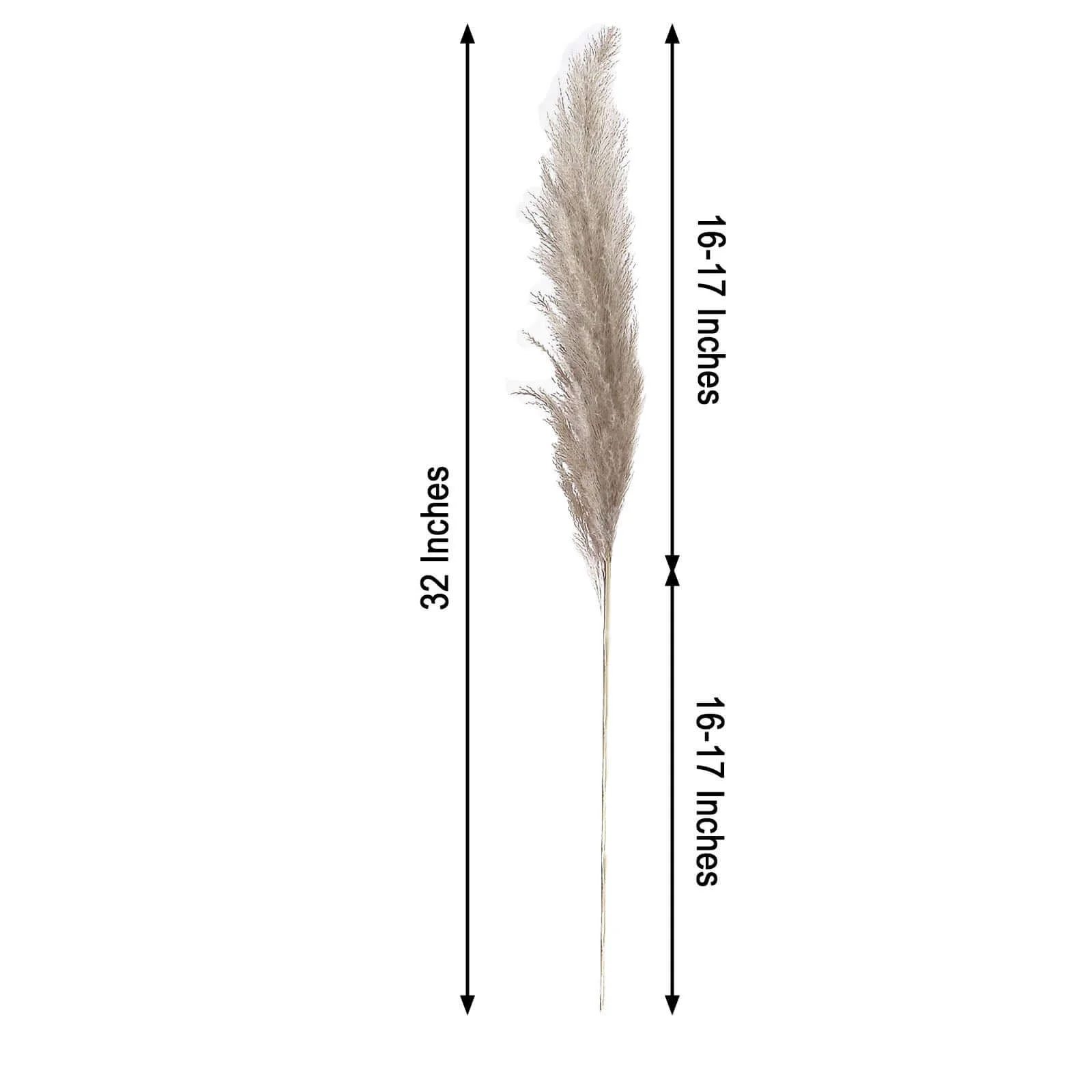 6 Stems Natural Dried Pampas Grass Decor 32" Natural Tint - Fluffy Plant Sprays - Image 3