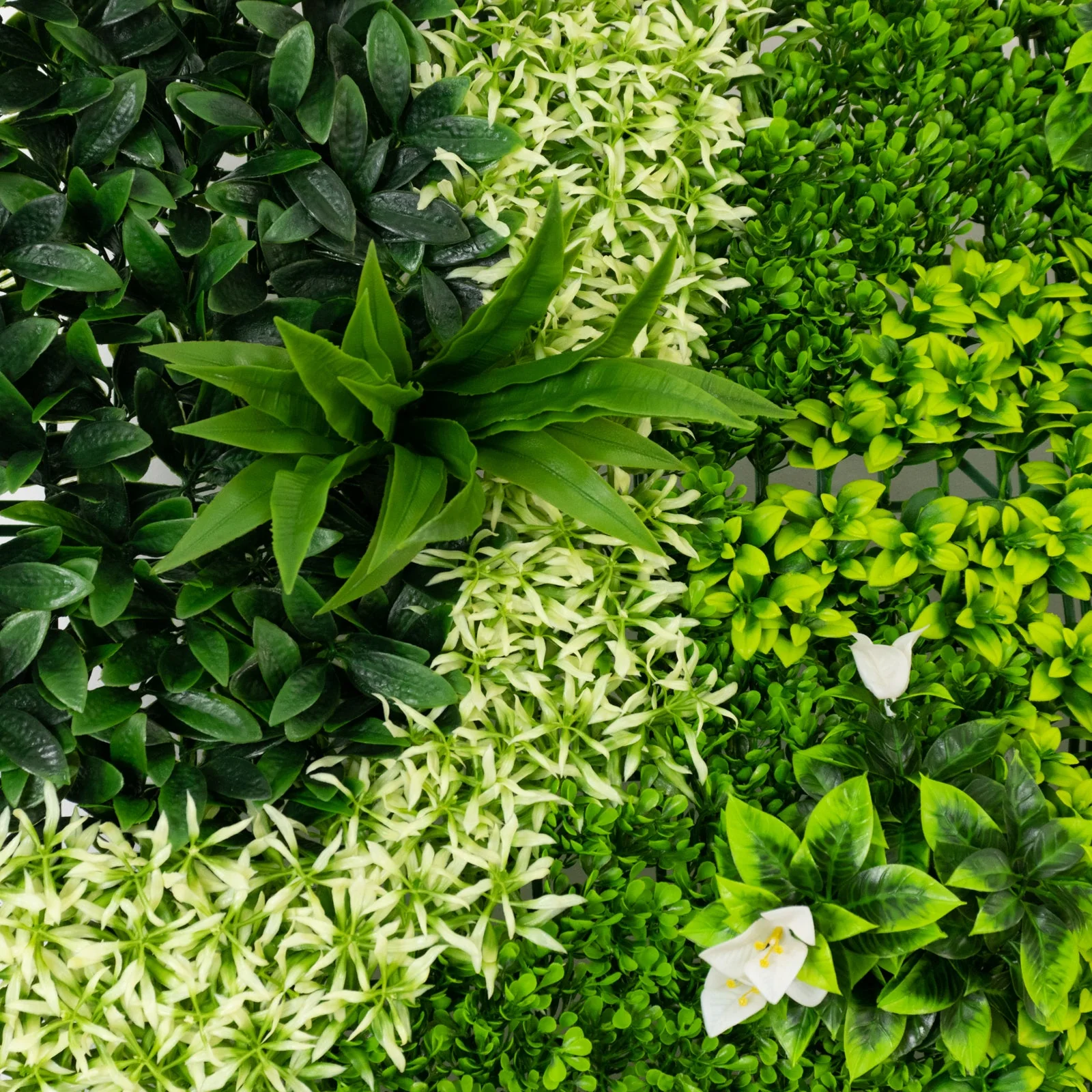 Artificial Boxwood Hedge Panels 40"×40" – Greenery Wall Backdrop with Variegated Leaves and White Flowers, Outdoor UV-Protected Grass Wall Mat – 2 Panels, Covers 22 Sq. Ft. - Image 6