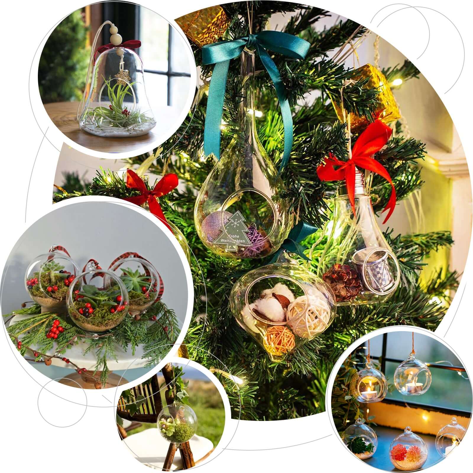 Glass Terrarium Hanging Bell Shaped Design 9" with Twine Rope - Free-Falling Planter for Air Plants & Decor - Image 5