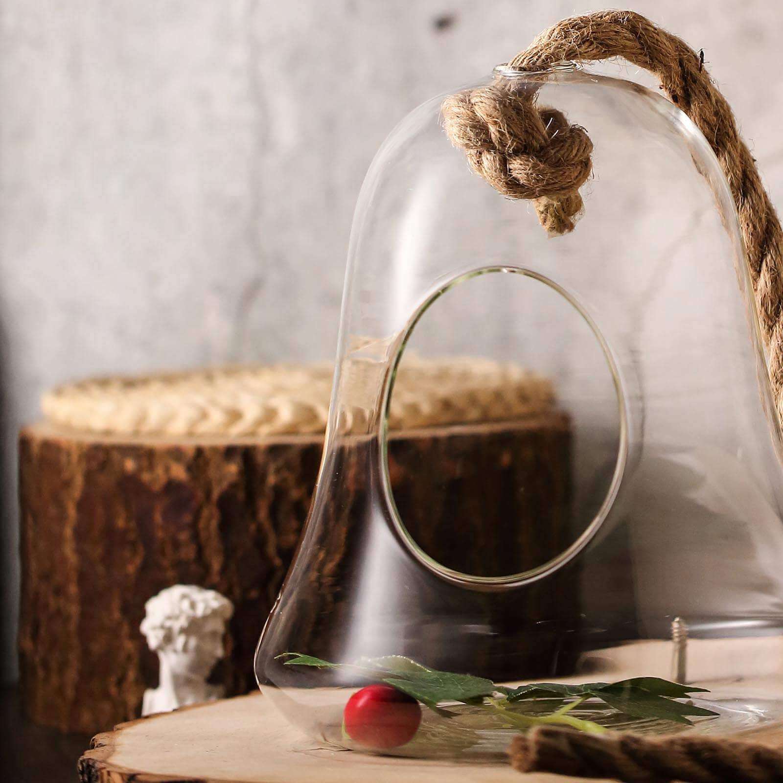 Glass Terrarium Hanging Bell Shaped Design 9" with Twine Rope - Free-Falling Planter for Air Plants & Decor - Image 9