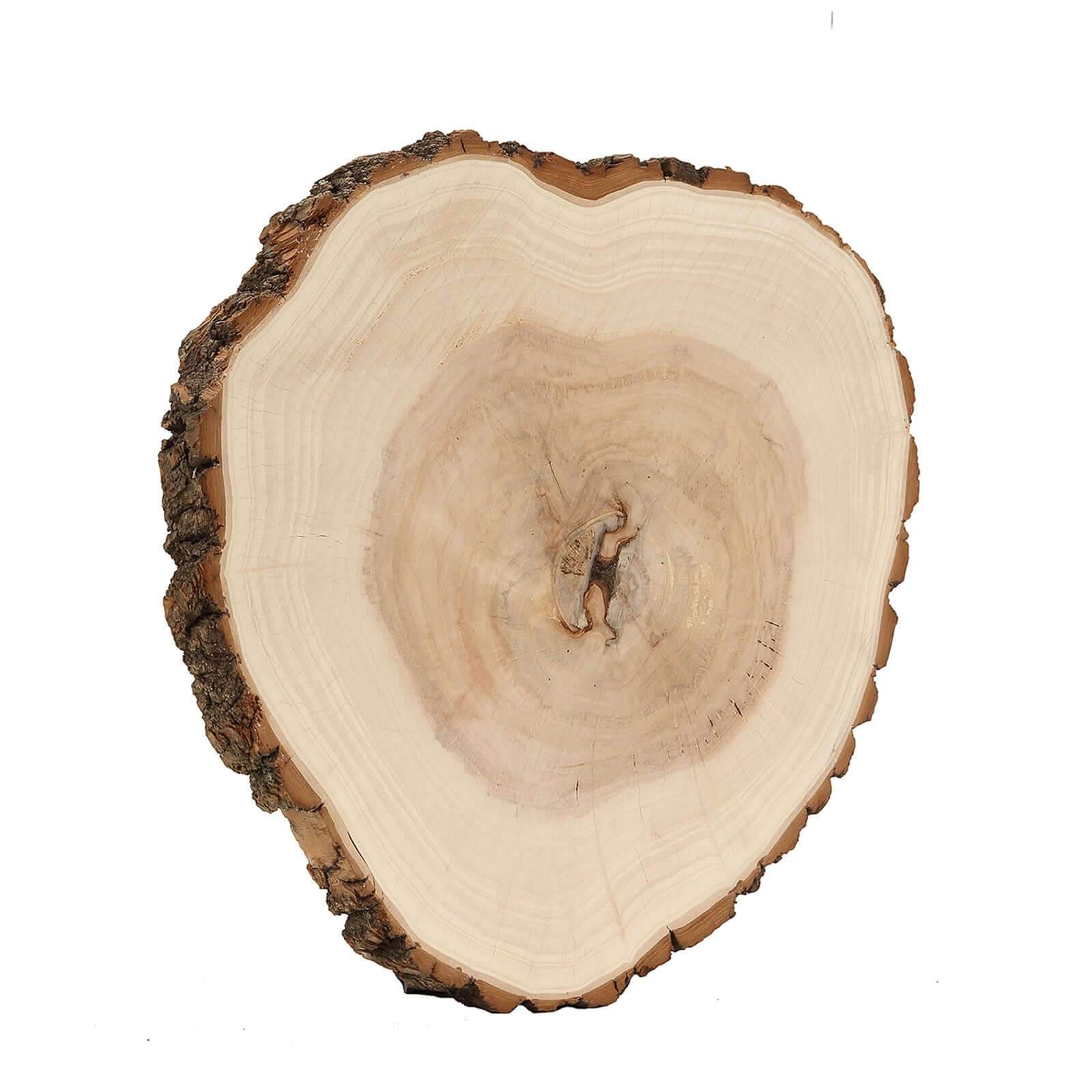 Poplar Wood Slabs Rustic Round Slices 18" Dia - Natural Table Centerpieces for Large Events - Image 6
