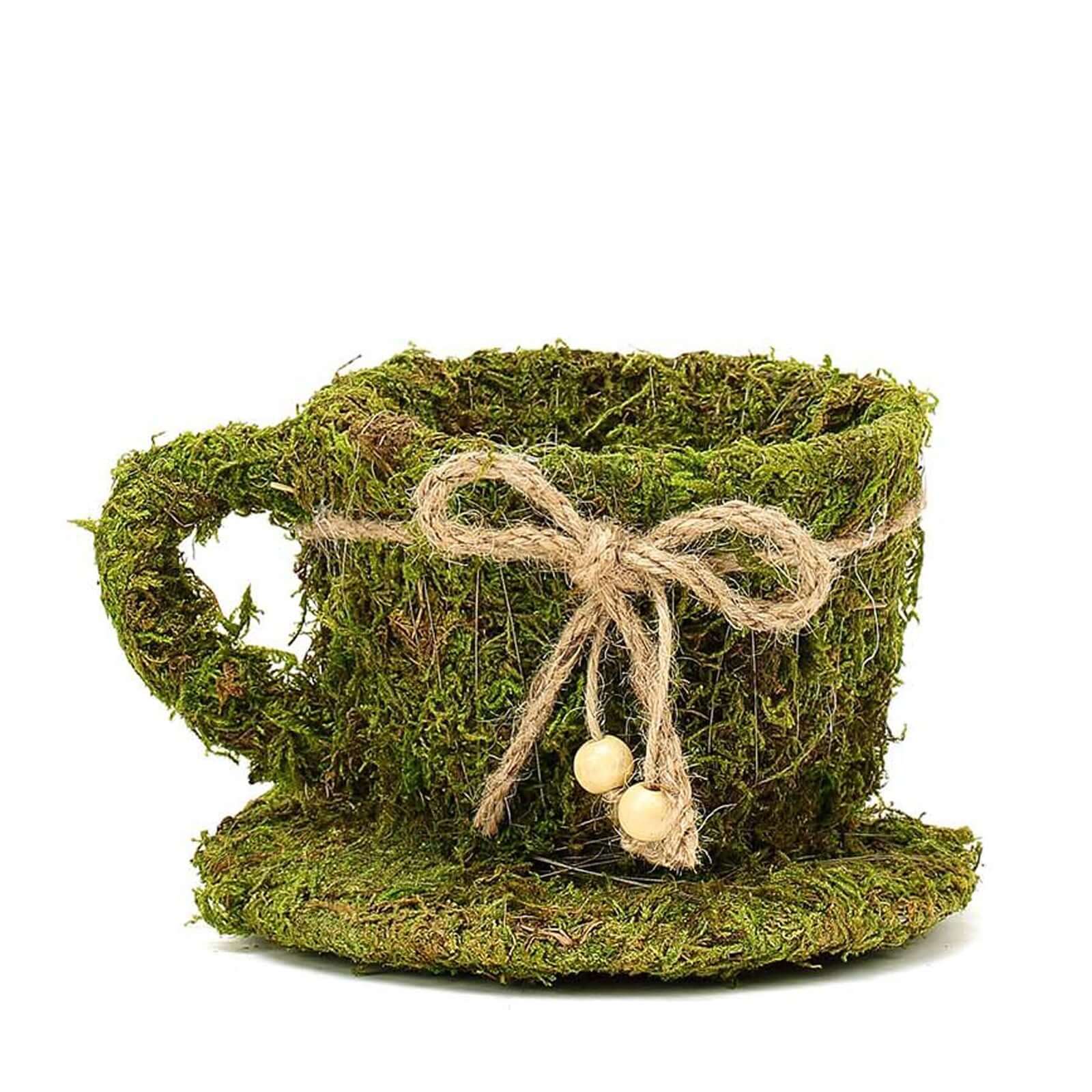 Set of 2 Preserved Moss Planter Boxes 5", 4" Teacup Shaped Green with Twine - Decorative Flower Baskets - Image 7