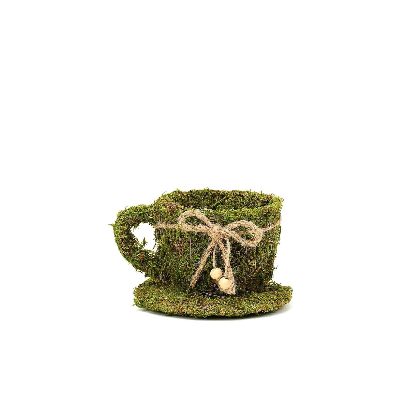 Set of 2 Preserved Moss Planter Boxes 5", 4" Teacup Shaped Green with Twine - Decorative Flower Baskets - Image 8