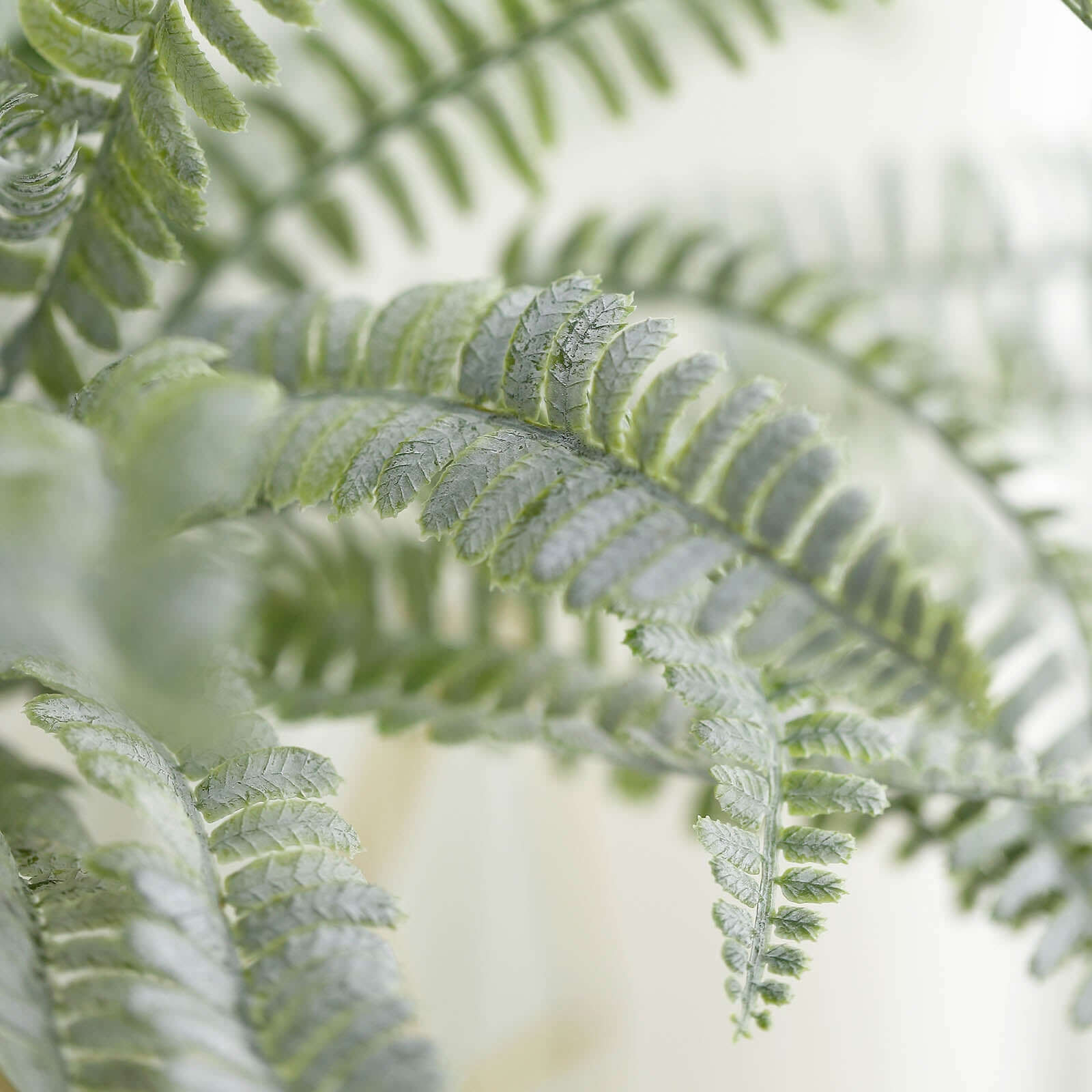 2 Stems Frosted Green Artificial Boston Fern Leaf Plant Indoor Spray - Image 13
