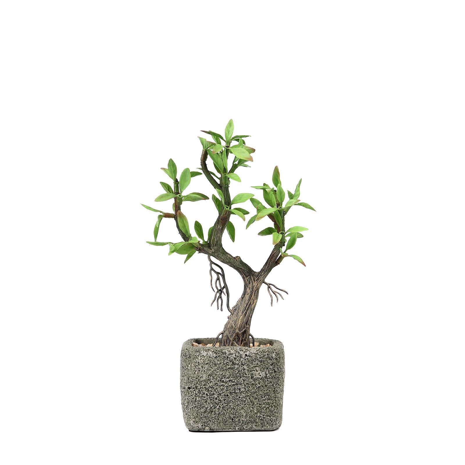Willow Tree Artificial Succulents in Concrete Pot 9" - Realistic Maintenance-Free Faux Plants for Bathroom Coffee Table Shelves & Desk - Image 11